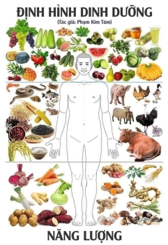 Định hình dinh dưỡng