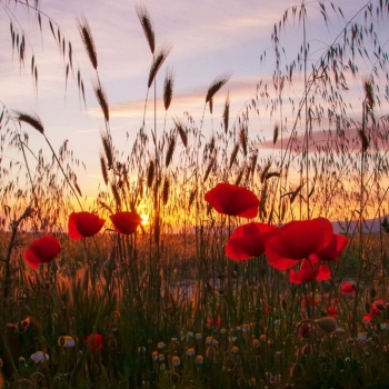 Tuổi mười tám đôi mươi