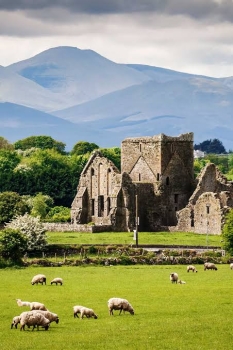 108 kệ Tịnh hạnh kính tặng Nhân dân Ireland