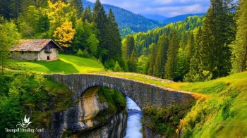 365 ngày tâm thế bình an