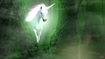 365 ngày an lạc - Thích Nhất Hạnh